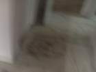 img_5616_small.jpg