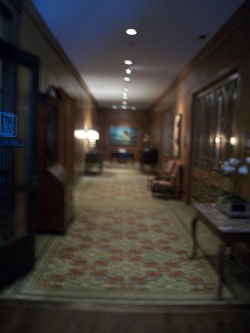_2003.jpg