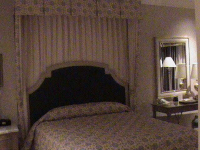 dsc00533.jpg