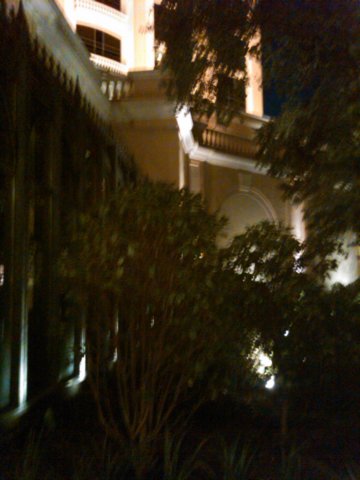 img00137201009112044.jpg