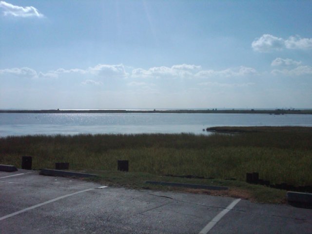 img00217201009121609.jpg