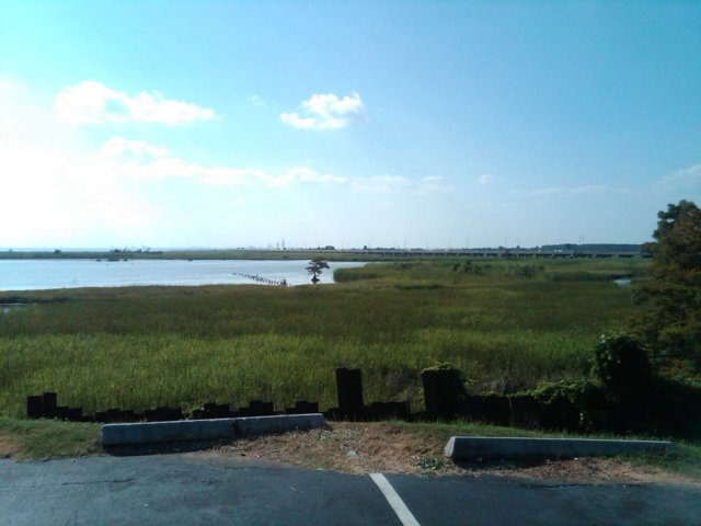 img00218201009121609.jpg