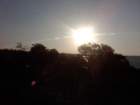 img00231201009121812_small.jpg